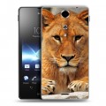 Дизайнерский пластиковый чехол для Sony Xperia TX Львы