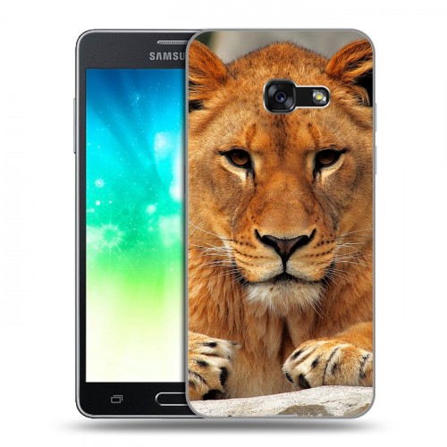 Дизайнерский пластиковый чехол для Samsung Galaxy A3 (2017) Львы
