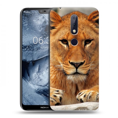 Дизайнерский силиконовый чехол для Nokia 6.1 Plus Львы