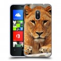 Дизайнерский пластиковый чехол для Nokia Lumia 620 Львы