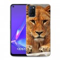 Дизайнерский пластиковый чехол для OPPO A52 Львы