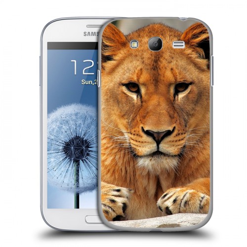 Дизайнерский пластиковый чехол для Samsung Galaxy Grand Львы