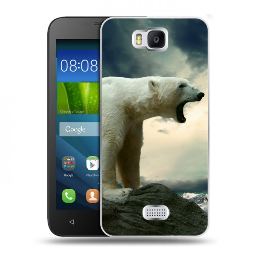 Дизайнерский пластиковый чехол для Huawei Y5c Медведи