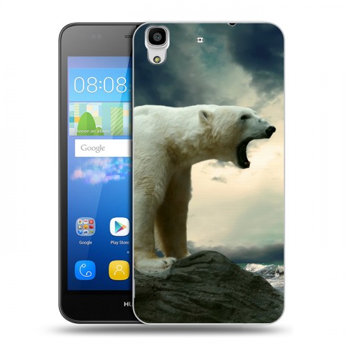 Дизайнерский пластиковый чехол для Huawei Y6 Медведи