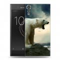 Дизайнерский пластиковый чехол для Sony Xperia XZs Медведи