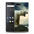 Дизайнерский пластиковый чехол для BlackBerry KEY2 Медведи