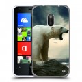 Дизайнерский пластиковый чехол для Nokia Lumia 620 Медведи