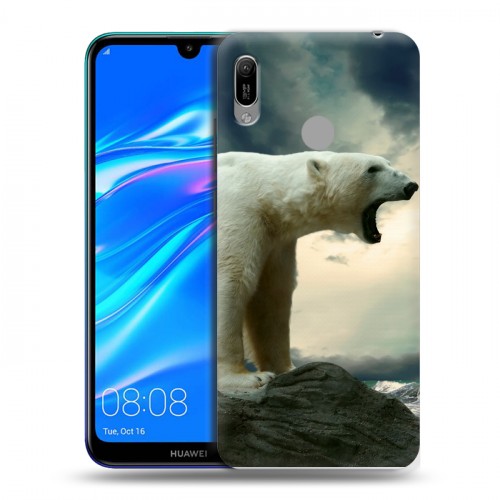 Дизайнерский пластиковый чехол для Huawei Y6 (2019) Медведи