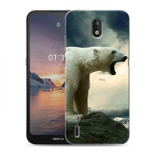 Дизайнерский силиконовый чехол для Nokia 1.3 Медведи