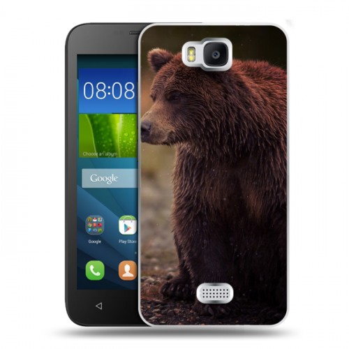 Дизайнерский пластиковый чехол для Huawei Y5c Медведи