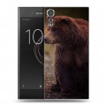 Дизайнерский пластиковый чехол для Sony Xperia XZs Медведи