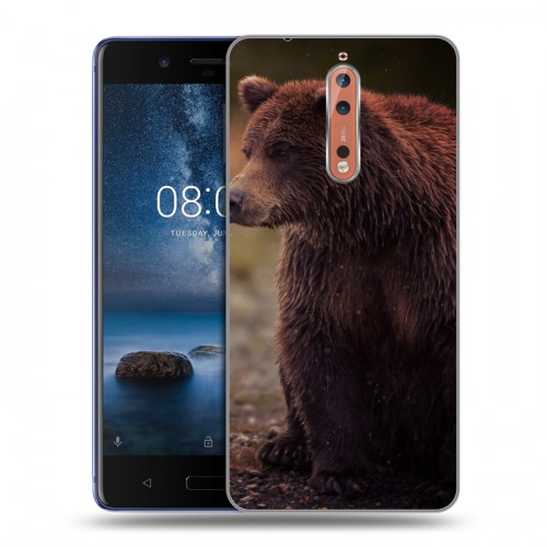 Дизайнерский пластиковый чехол для Nokia 8 Медведи