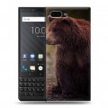 Дизайнерский пластиковый чехол для BlackBerry KEY2 Медведи