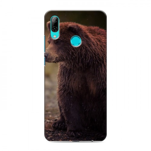 Дизайнерский пластиковый чехол для Huawei P Smart (2019) Медведи