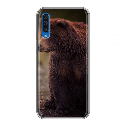 Дизайнерский силиконовый с усиленными углами чехол для Samsung Galaxy A50 Медведи