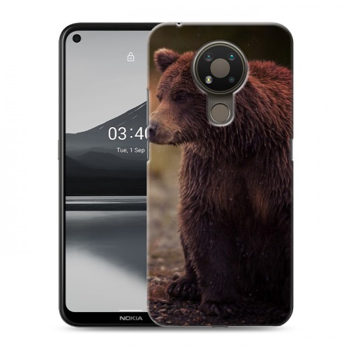 Дизайнерский пластиковый чехол для Nokia 3.4 Медведи