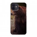 Дизайнерский силиконовый чехол для Iphone 12 Медведи