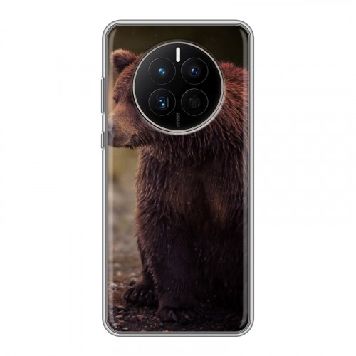 Дизайнерский силиконовый чехол для Huawei Mate 50 Медведи