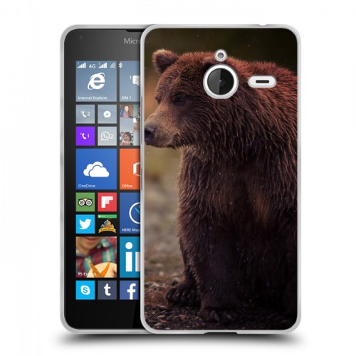 Дизайнерский пластиковый чехол для Microsoft Lumia 640 XL Медведи