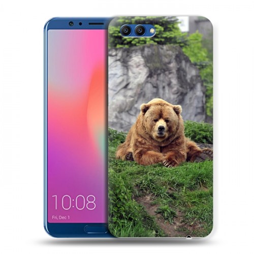 Дизайнерский пластиковый чехол для Huawei Honor View 10 Медведи