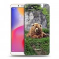 Дизайнерский пластиковый чехол для Xiaomi RedMi 6A Медведи