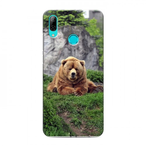 Дизайнерский пластиковый чехол для Huawei Y7 (2019) Медведи