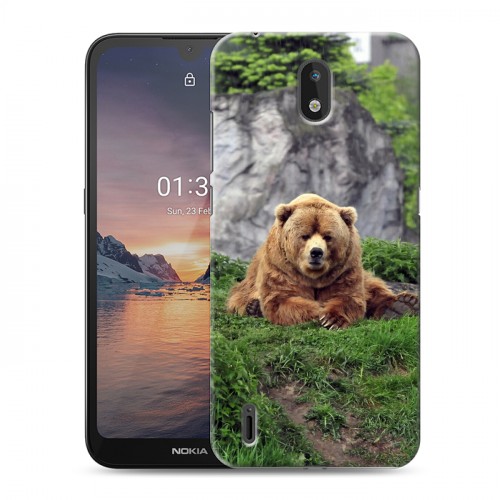 Дизайнерский силиконовый чехол для Nokia 1.3 Медведи