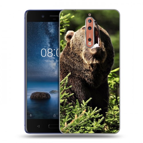 Дизайнерский пластиковый чехол для Nokia 8 Медведи