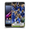 Дизайнерский силиконовый чехол для Sony Xperia E1