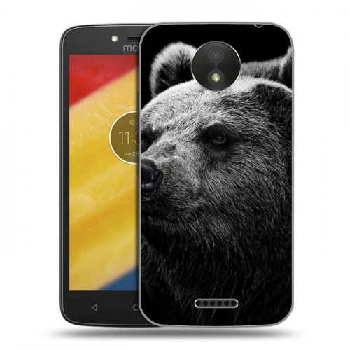 Дизайнерский пластиковый чехол для Motorola Moto C Plus Медведи