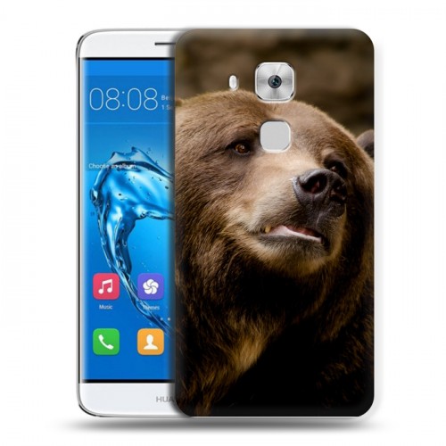 Дизайнерский пластиковый чехол для Huawei Nova Plus Медведи