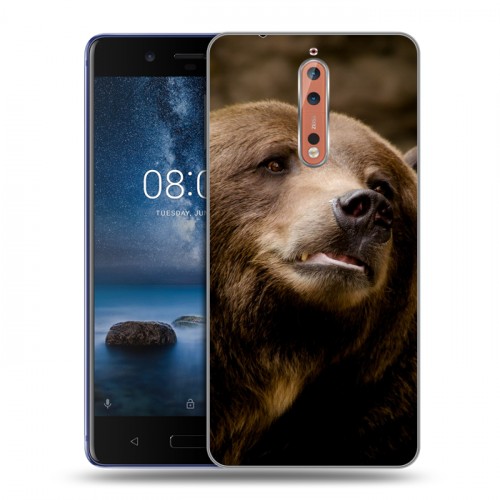 Дизайнерский пластиковый чехол для Nokia 8 Медведи