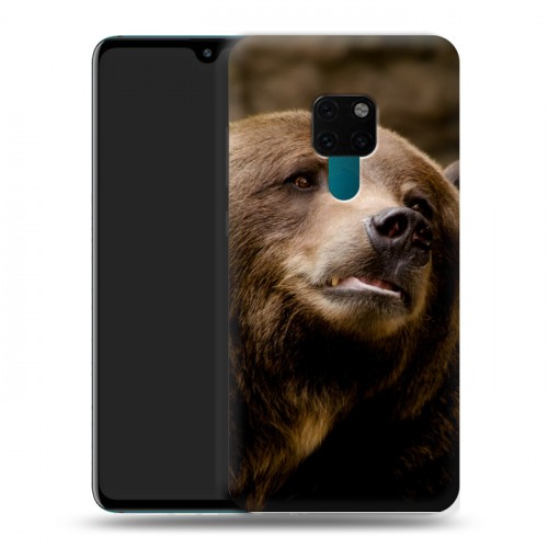 Дизайнерский пластиковый чехол для Huawei Mate 20 Медведи