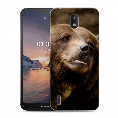 Дизайнерский силиконовый чехол для Nokia 1.3 Медведи