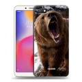 Дизайнерский пластиковый чехол для Xiaomi RedMi 6A Медведи