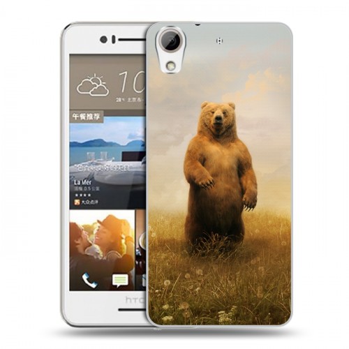 Дизайнерский пластиковый чехол для HTC Desire 728 Медведи