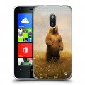 Дизайнерский пластиковый чехол для Nokia Lumia 620 Медведи