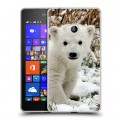 Дизайнерский пластиковый чехол для Microsoft Lumia 540 Медведи