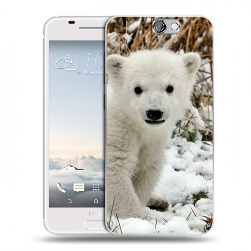 Дизайнерский пластиковый чехол для HTC One A9 Медведи
