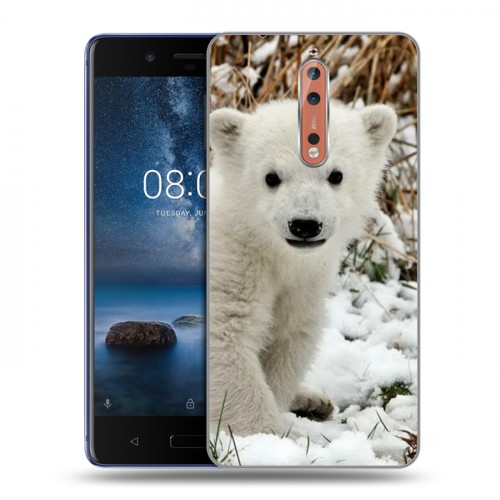 Дизайнерский пластиковый чехол для Nokia 8 Медведи