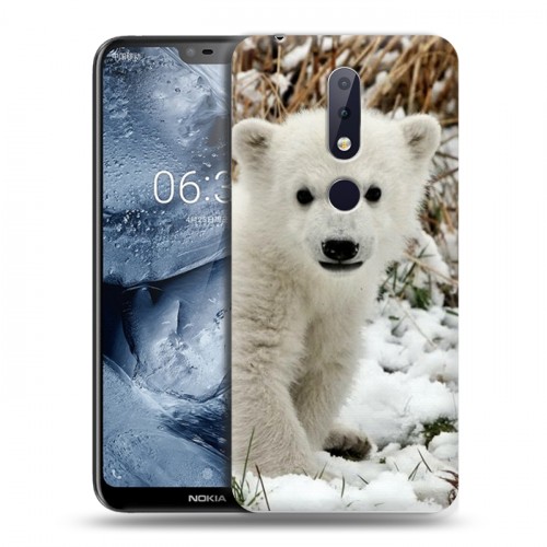 Дизайнерский пластиковый чехол для Nokia 6.1 Plus Медведи