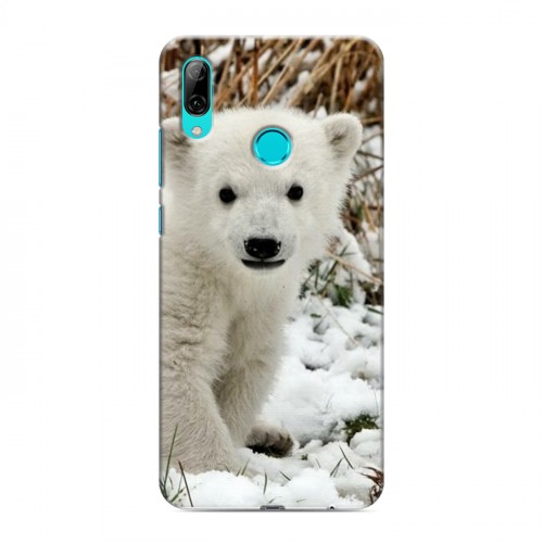 Дизайнерский пластиковый чехол для Huawei P Smart (2019) Медведи