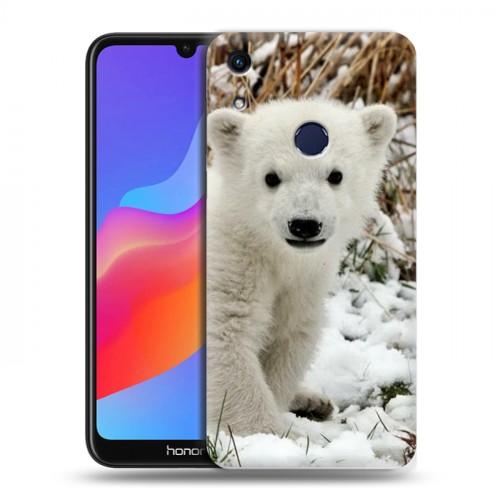 Дизайнерский пластиковый чехол для Huawei Honor 8A Медведи