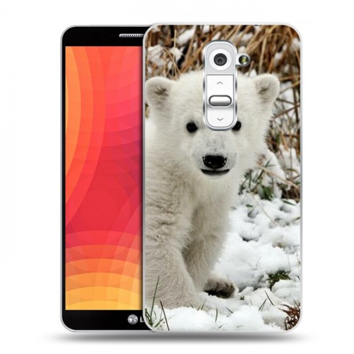 Дизайнерский пластиковый чехол для LG Optimus G2 Медведи