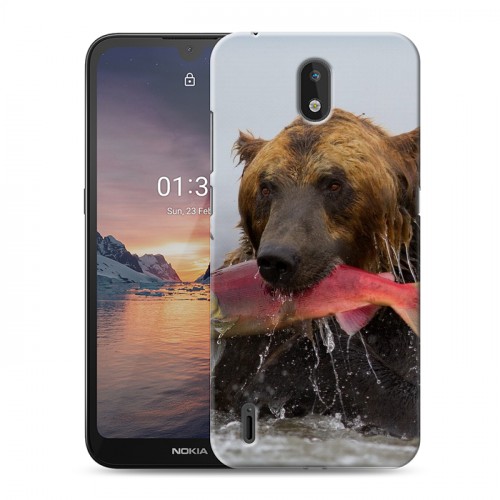 Дизайнерский силиконовый чехол для Nokia 1.3 Медведи