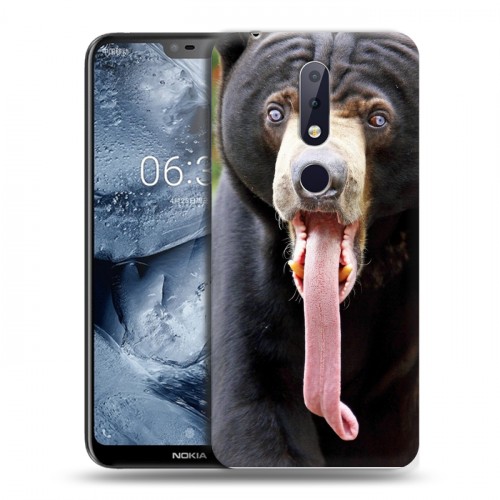 Дизайнерский пластиковый чехол для Nokia 6.1 Plus Медведи