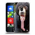 Дизайнерский пластиковый чехол для Nokia Lumia 620 Медведи