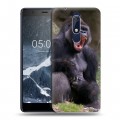 Дизайнерский пластиковый чехол для Nokia 5.1 Обезьяны