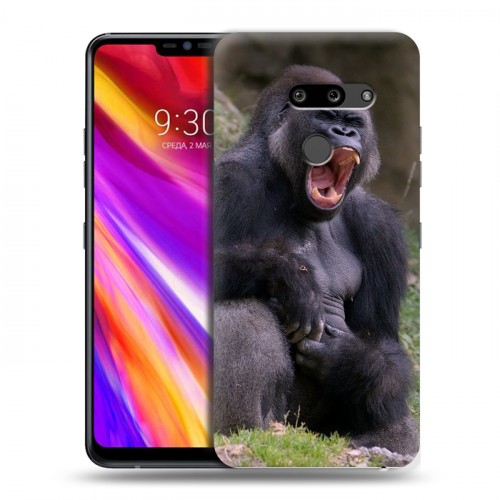 Дизайнерский пластиковый чехол для LG G8 ThinQ Обезьяны