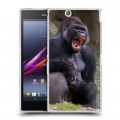 Дизайнерский пластиковый чехол для Sony Xperia Z Ultra  Обезьяны